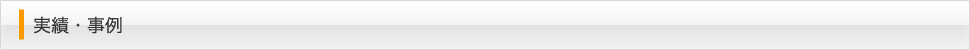 実績・事例